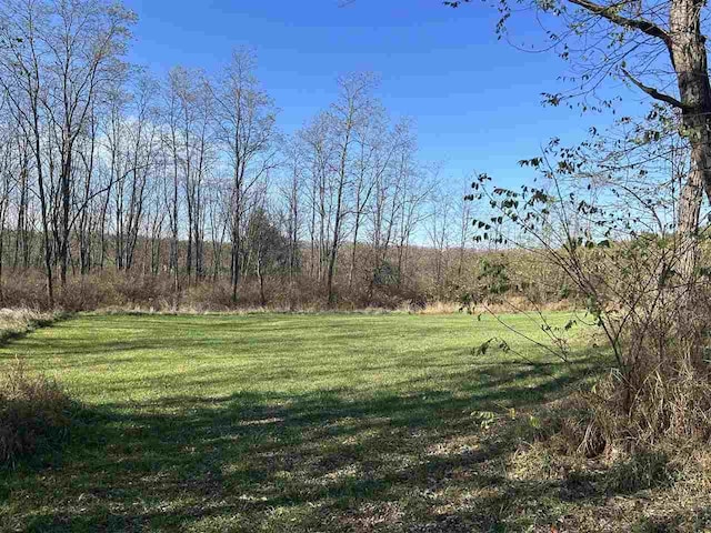 5157 Graham Rd, East Jordan, MI 49727 - view of yard
