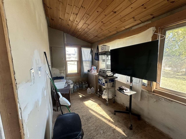 5157 Graham Rd, East Jordan, MI 49727 - office featuring plenty of natural light, lofted ceiling, and wood ceiling