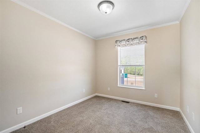 spare room with ornamental molding and carpet floors