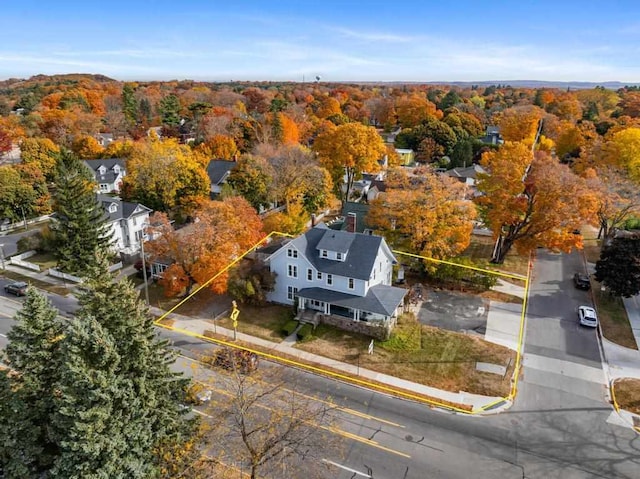 bird's eye view