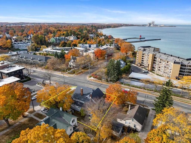 aerial view with a water view