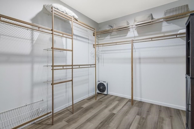 walk in closet with wood-type flooring