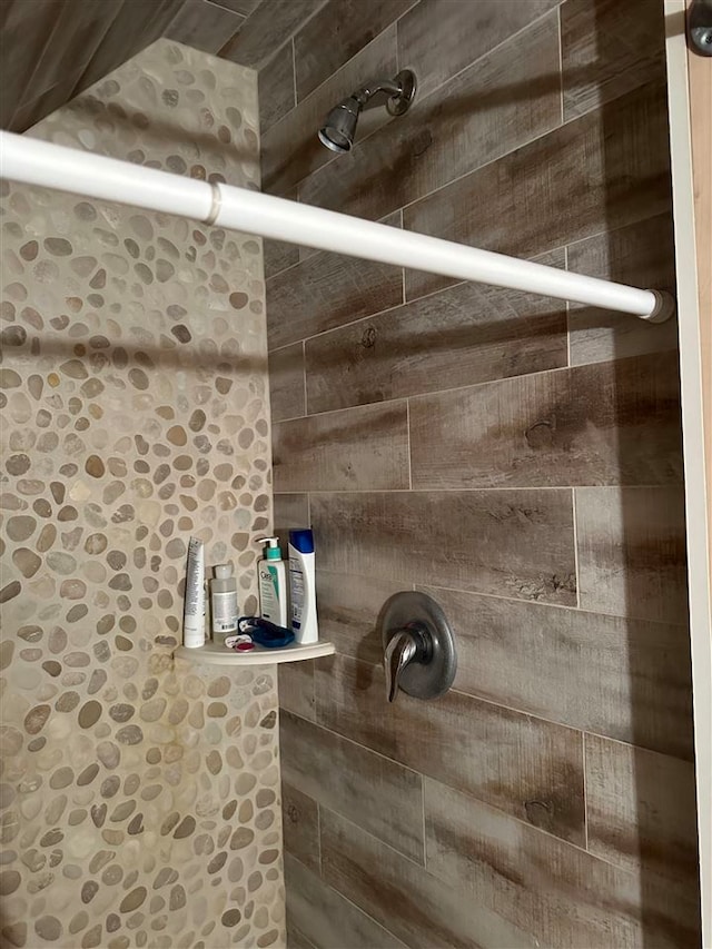 interior details with tiled shower