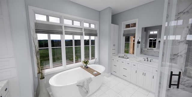 bathroom with vanity, a washtub, and a wealth of natural light