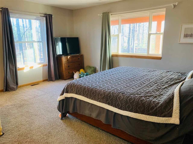 bedroom with carpet flooring