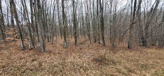 Listing photo 2 for LOT23 Whispering Pines Dr, Mancelona MI 49659