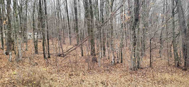 Listing photo 3 for LOT23 Whispering Pines Dr, Mancelona MI 49659