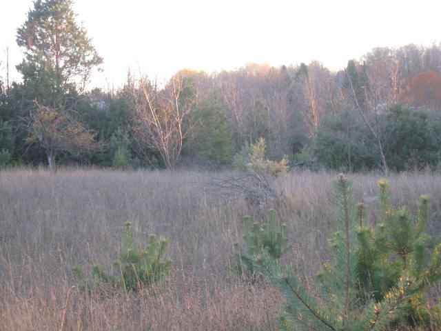 Listing photo 3 for 0 M-68, Alanson MI 49706