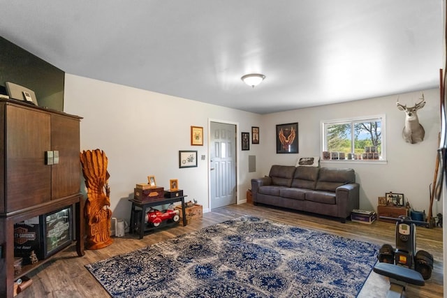 living room with wood-type flooring