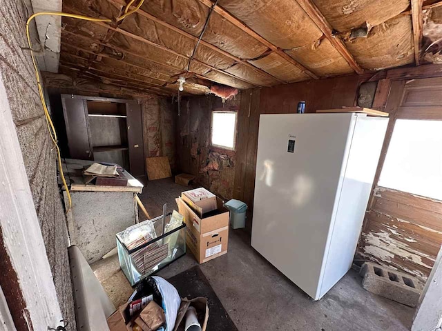 basement with white fridge