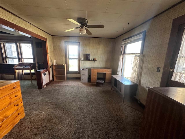 sitting room featuring ceiling fan and dark carpet