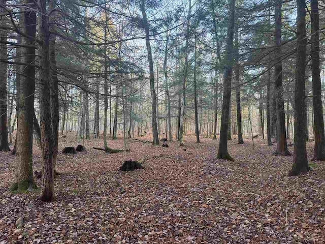 00 W Townline Rd, Harbor Springs, MI 49740