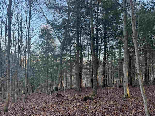 00 W Townline Rd, Harbor Springs, MI 49740
