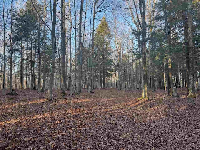 00 W Townline Rd, Harbor Springs, MI 49740