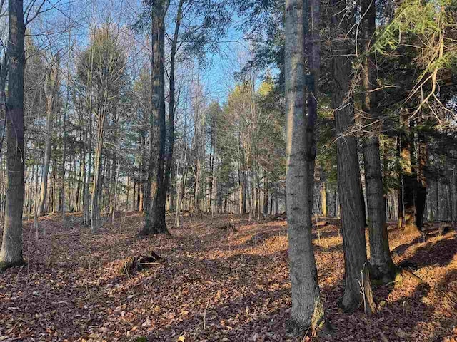 00 W Townline Rd, Harbor Springs, MI 49740