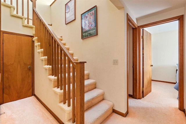 stairway featuring carpet flooring