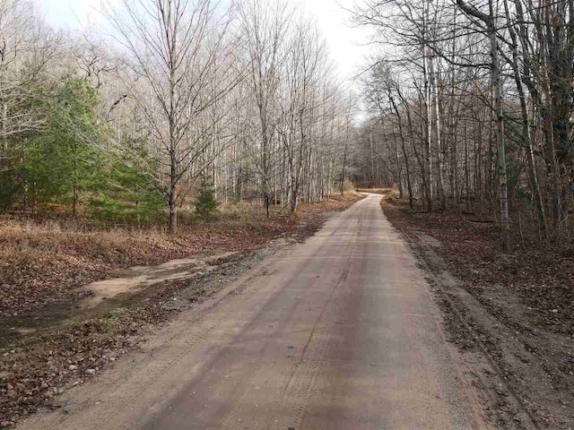 Listing photo 2 for TBD Cosier Rd, East Jordan MI 49727