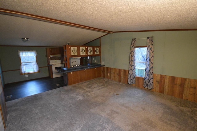 kitchen with vaulted ceiling, white electric range oven, a textured ceiling, and dark carpet