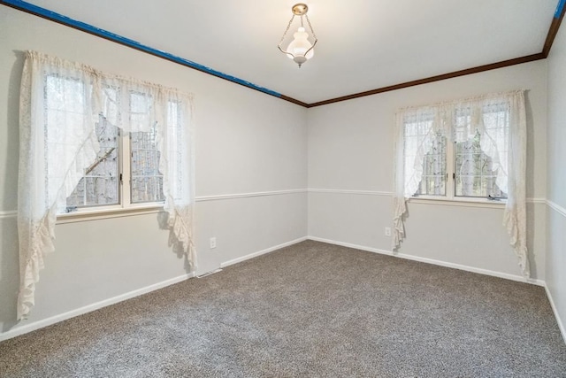 carpeted empty room with crown molding