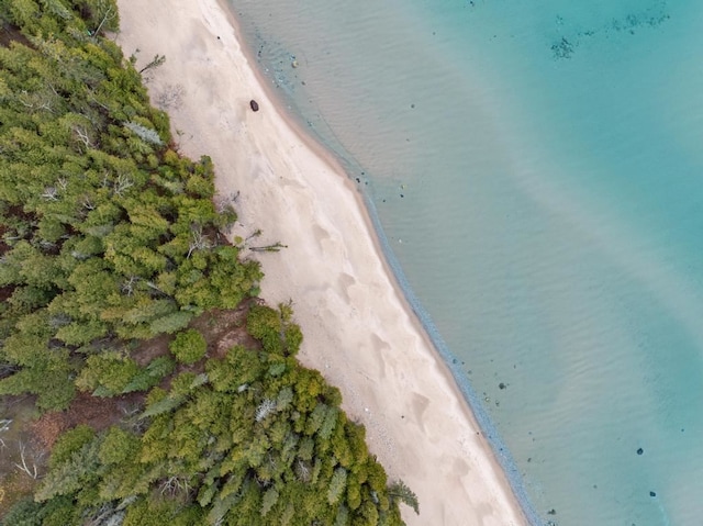 aerial view featuring a water view and a view of the beach