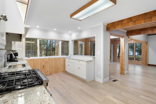 kitchen with decorative backsplash, light wood-type flooring, a wealth of natural light, and sink