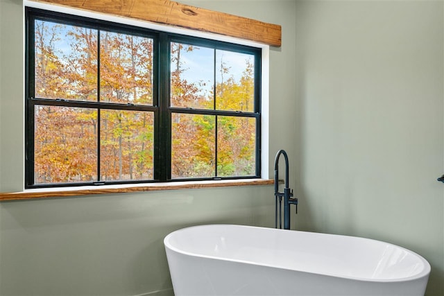 bathroom with a bathing tub and sink