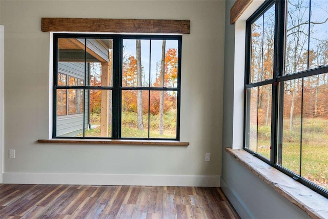 spare room featuring a wealth of natural light and hardwood / wood-style floors