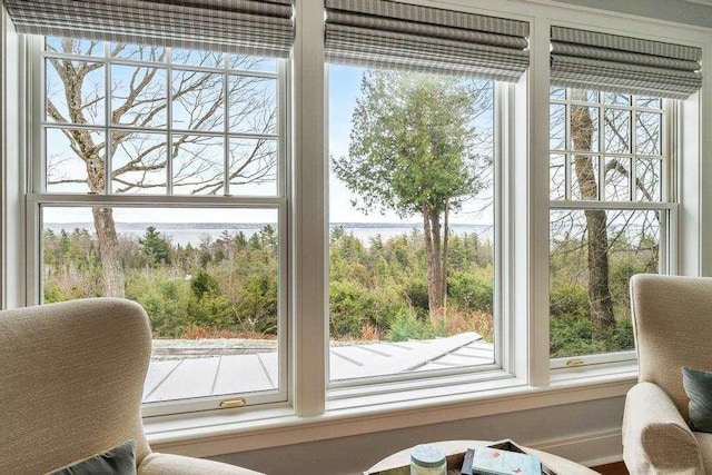 entryway featuring plenty of natural light