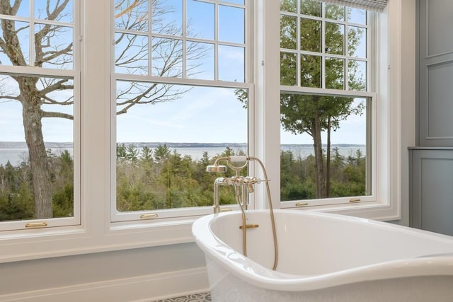 bathroom featuring a bathing tub, plenty of natural light, and a water view