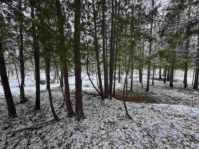 view of snowy landscape