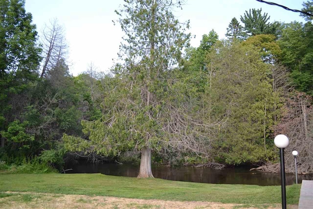 view of community with a yard and a water view