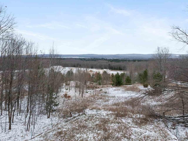 view of snow covered land