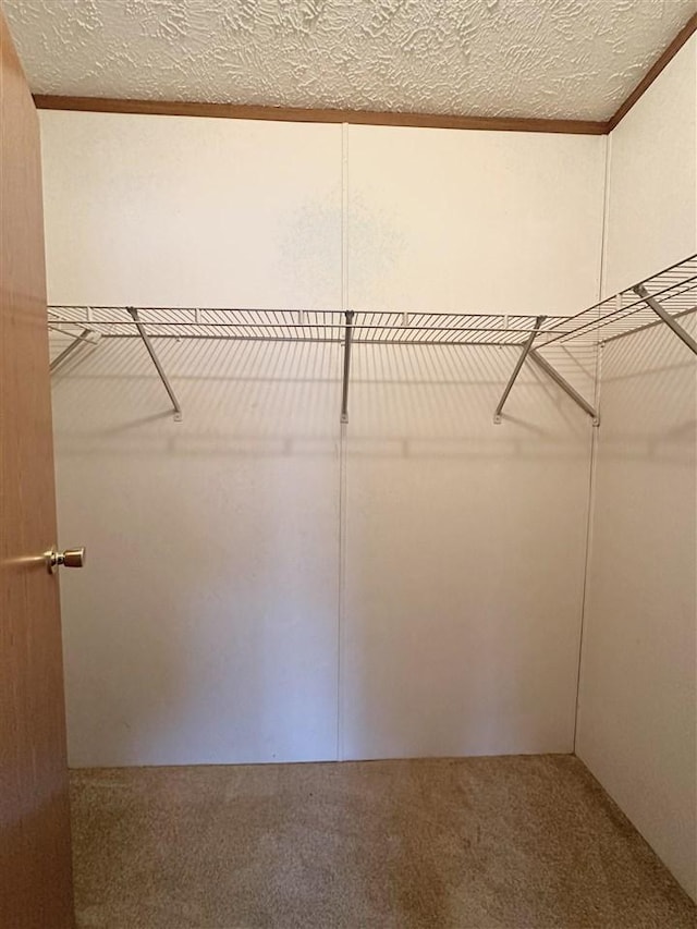 spacious closet with carpet flooring