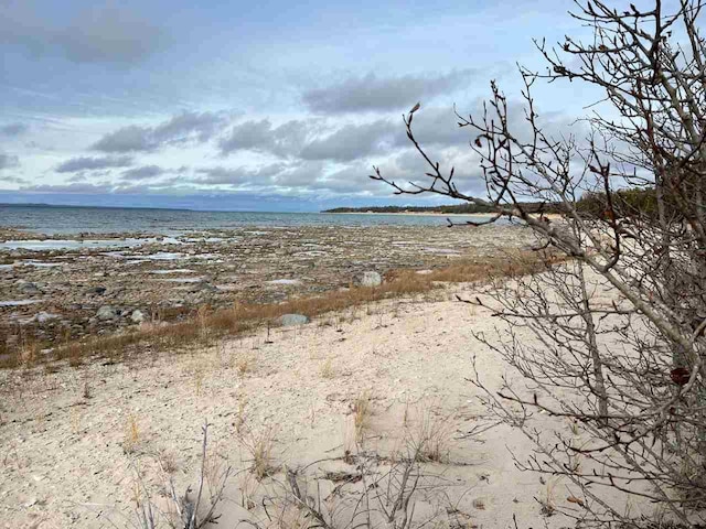 Listing photo 2 for TBD Greenes Bay Dr Unit 17B, Beaver Island MI 49782