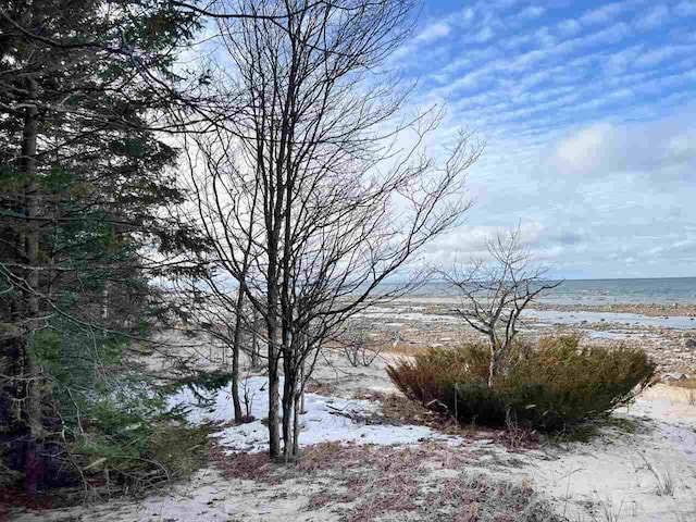 Listing photo 3 for TBD Greenes Bay Dr Unit 17B, Beaver Island MI 49782