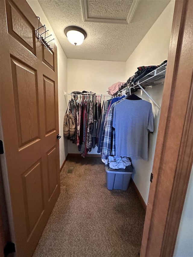 walk in closet with dark carpet