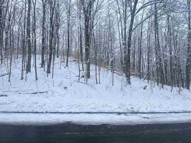 Listing photo 2 for LOT130 Maromir Ct, Bellaire MI 49615