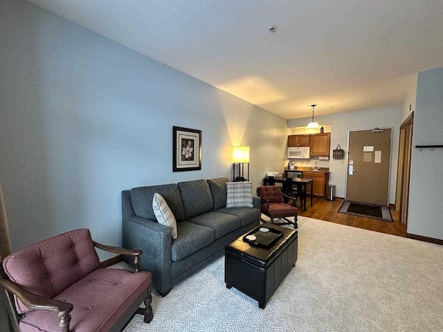 living room featuring hardwood / wood-style flooring