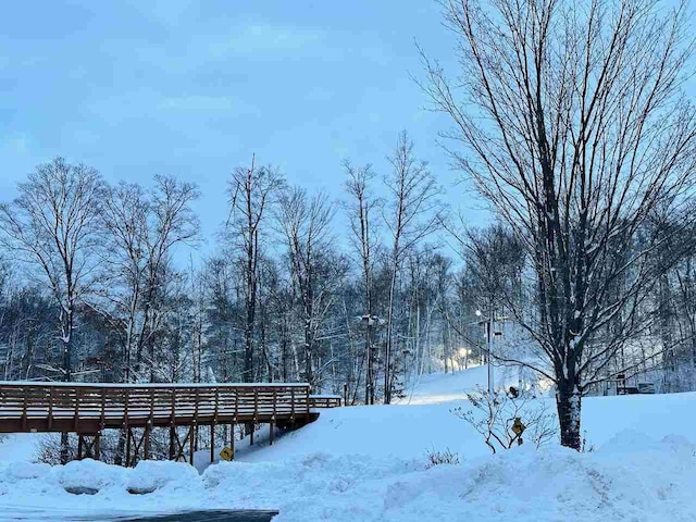 view of yard covered in snow