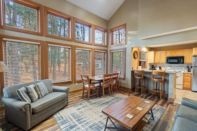 living room featuring light hardwood / wood-style floors and high vaulted ceiling