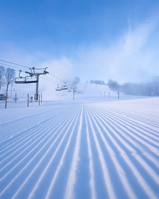 view of yard covered in snow