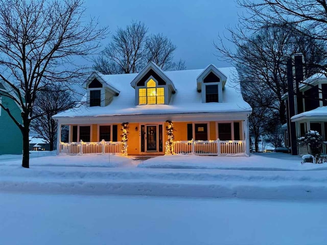 view of cape cod home