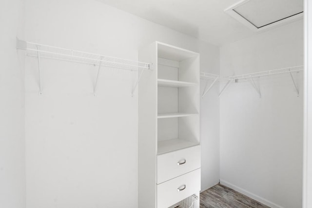 walk in closet with hardwood / wood-style floors