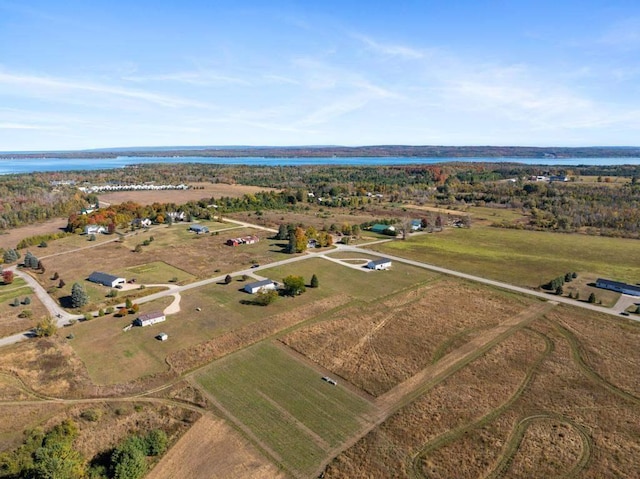 aerial view with a water view and a rural view