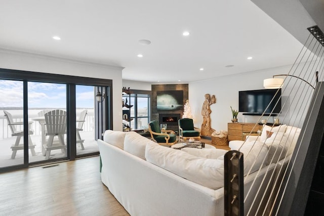 living room featuring hardwood / wood-style flooring and a premium fireplace