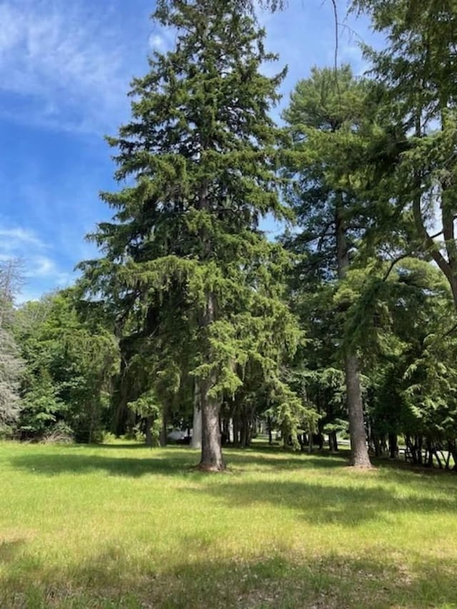 580 W Bluff, Harbor Springs, MI 49770