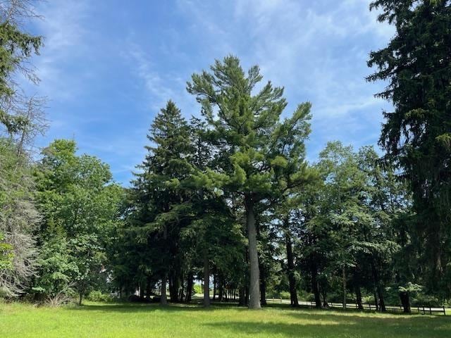 580 W Bluff, Harbor Springs, MI 49770