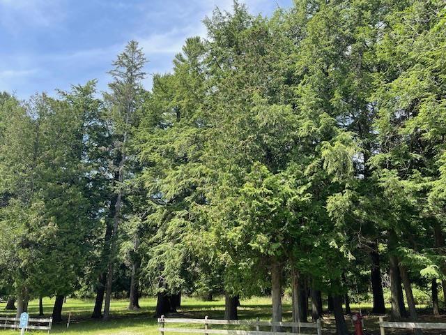 580 W Bluff, Harbor Springs, MI 49770