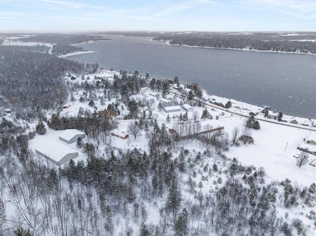 snowy aerial view with a water view