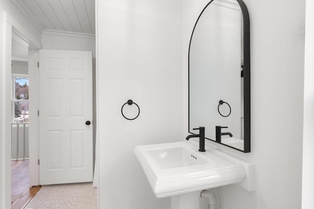 bathroom featuring wood-type flooring and sink